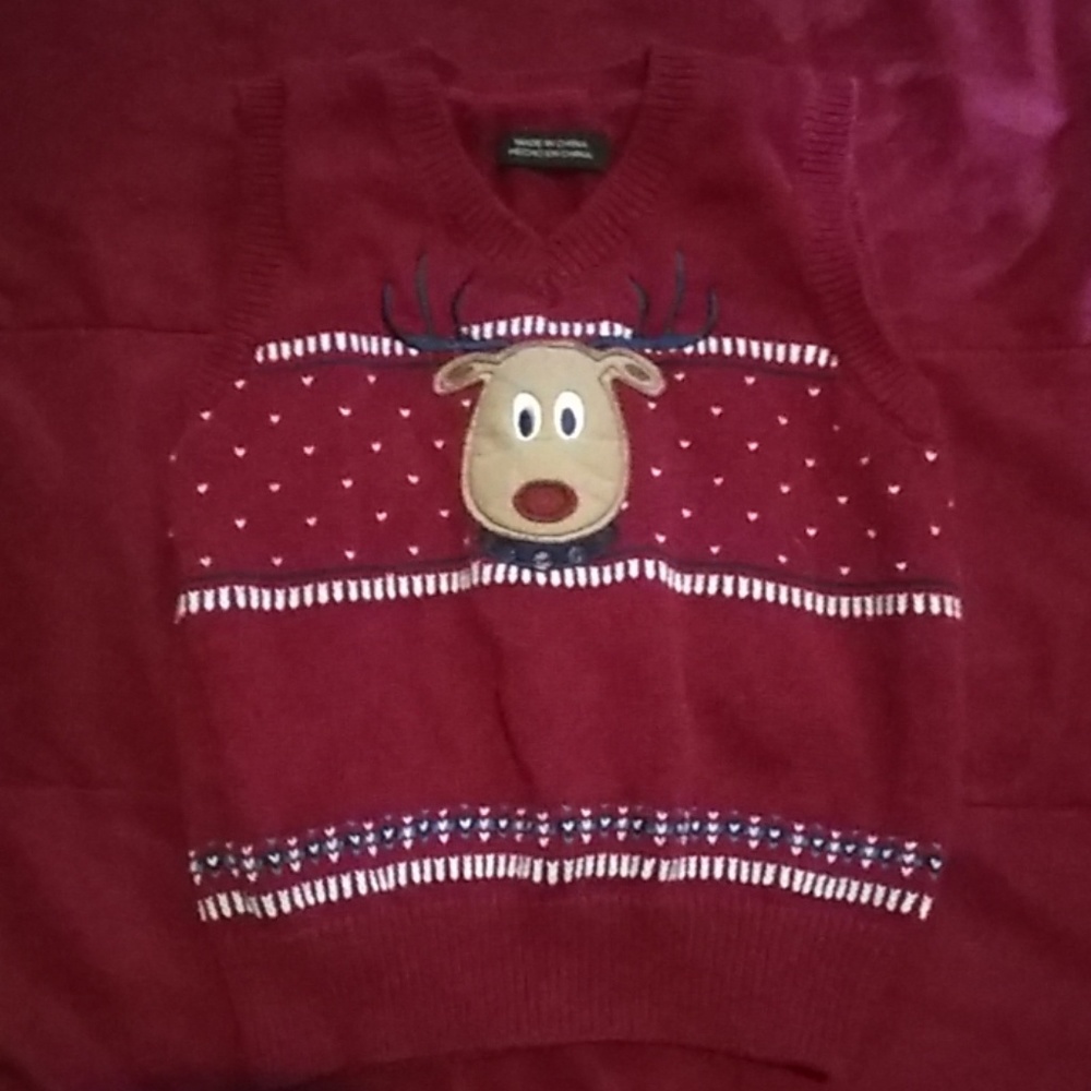 Christmas vest